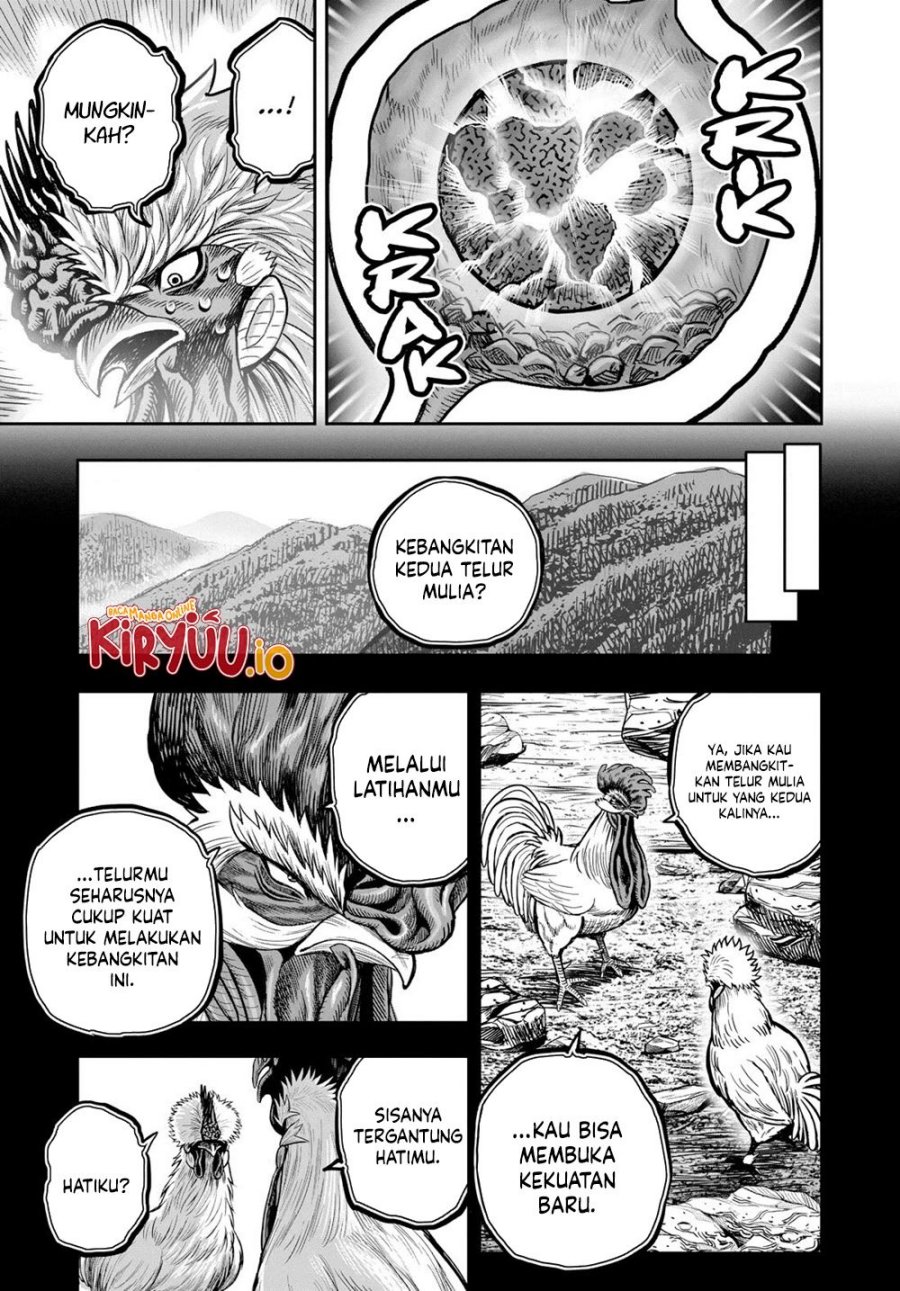 Rooster Fighter Chapter 27 Gambar 48