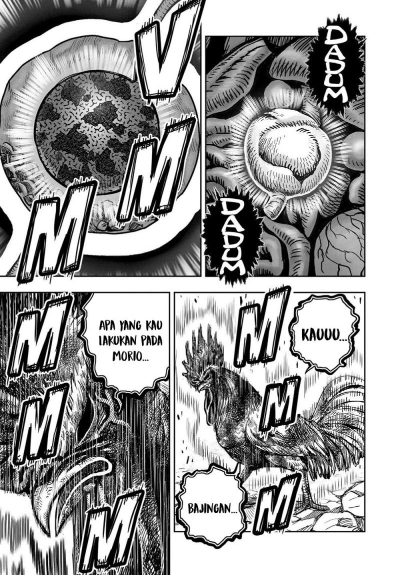Rooster Fighter Chapter 29 Gambar 53