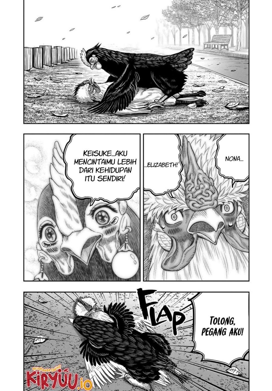 Rooster Fighter Chapter 32 Gambar 5