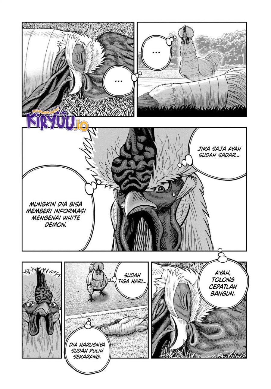 Rooster Fighter Chapter 34 Gambar 14