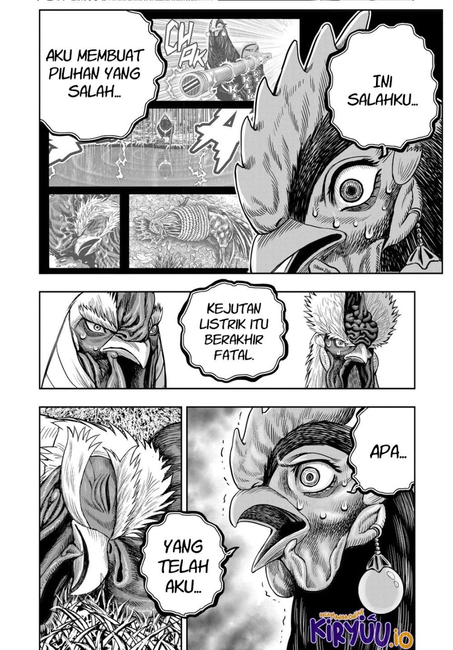 Rooster Fighter Chapter 34 Gambar 21