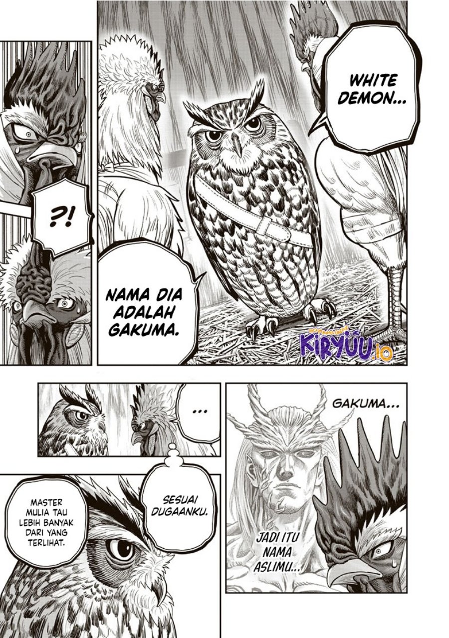 Rooster Fighter Chapter 38 Gambar 18