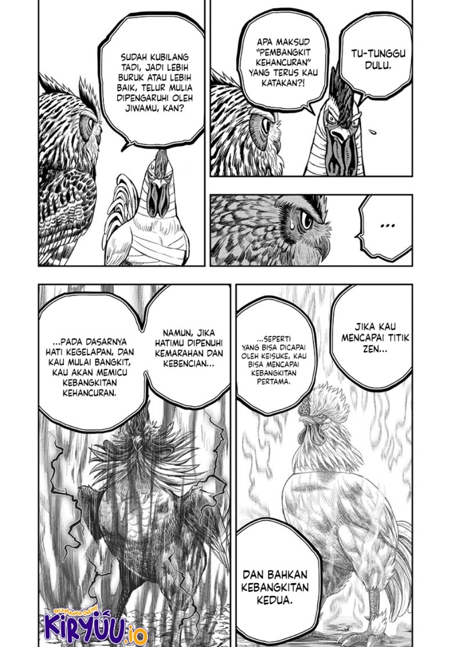 Rooster Fighter Chapter 47 Gambar 18