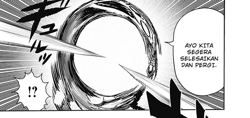 One Punch Man Chapter 252.1000000000 Gambar 27