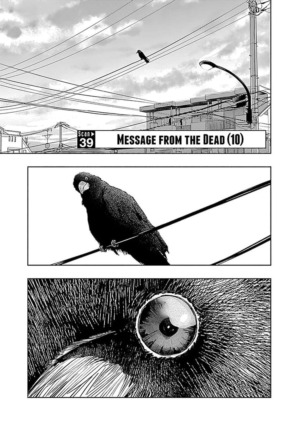 Radiation House Chapter 39 Gambar 2