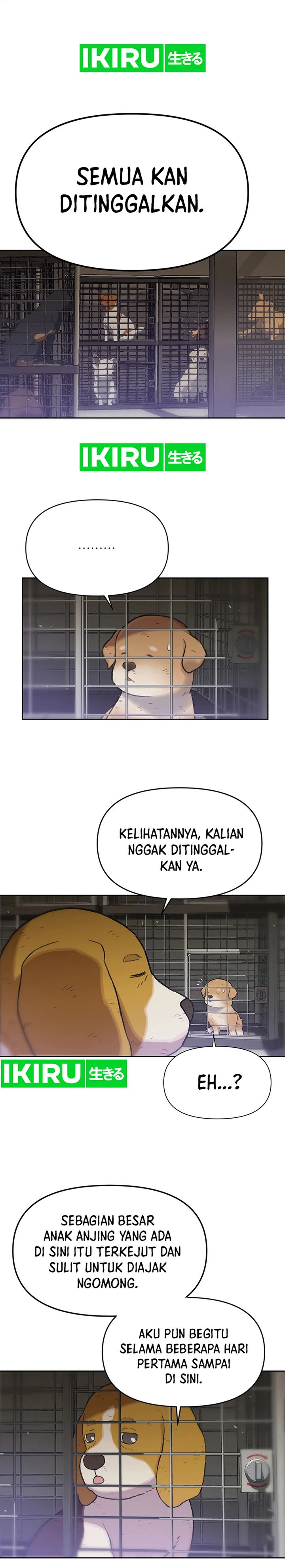 Rainbow Bridge Watchman Chapter 48 Gambar 4