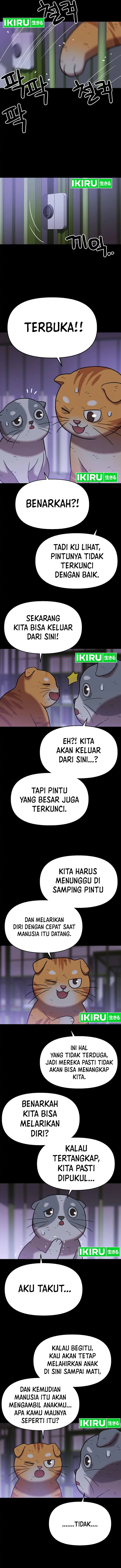 Rainbow Bridge Watchman Chapter 137 Gambar 6