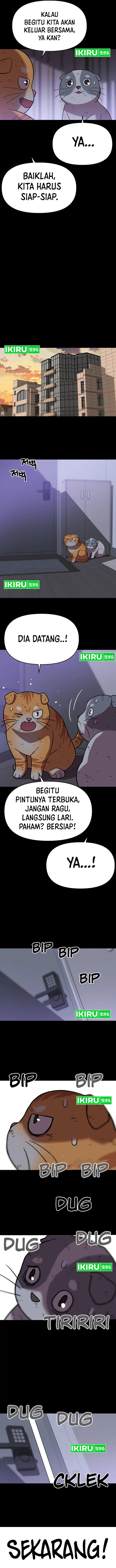 Rainbow Bridge Watchman Chapter 137 Gambar 7