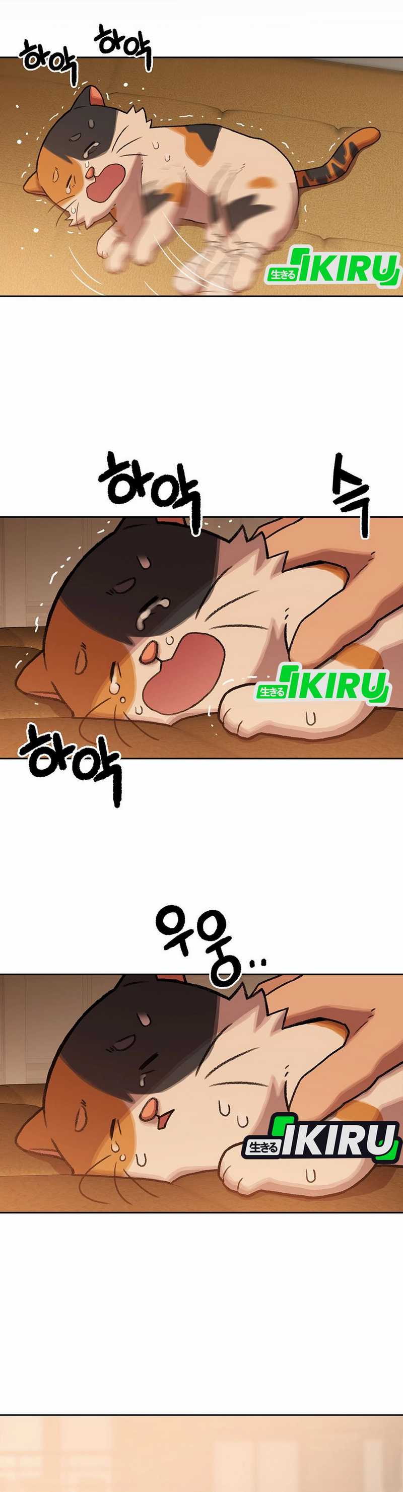 Rainbow Bridge Watchman Chapter 151 Gambar 37