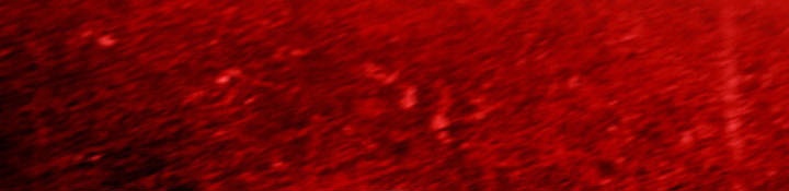 Revenge of the Iron-Blooded Sword Hound Chapter 141 Gambar 55