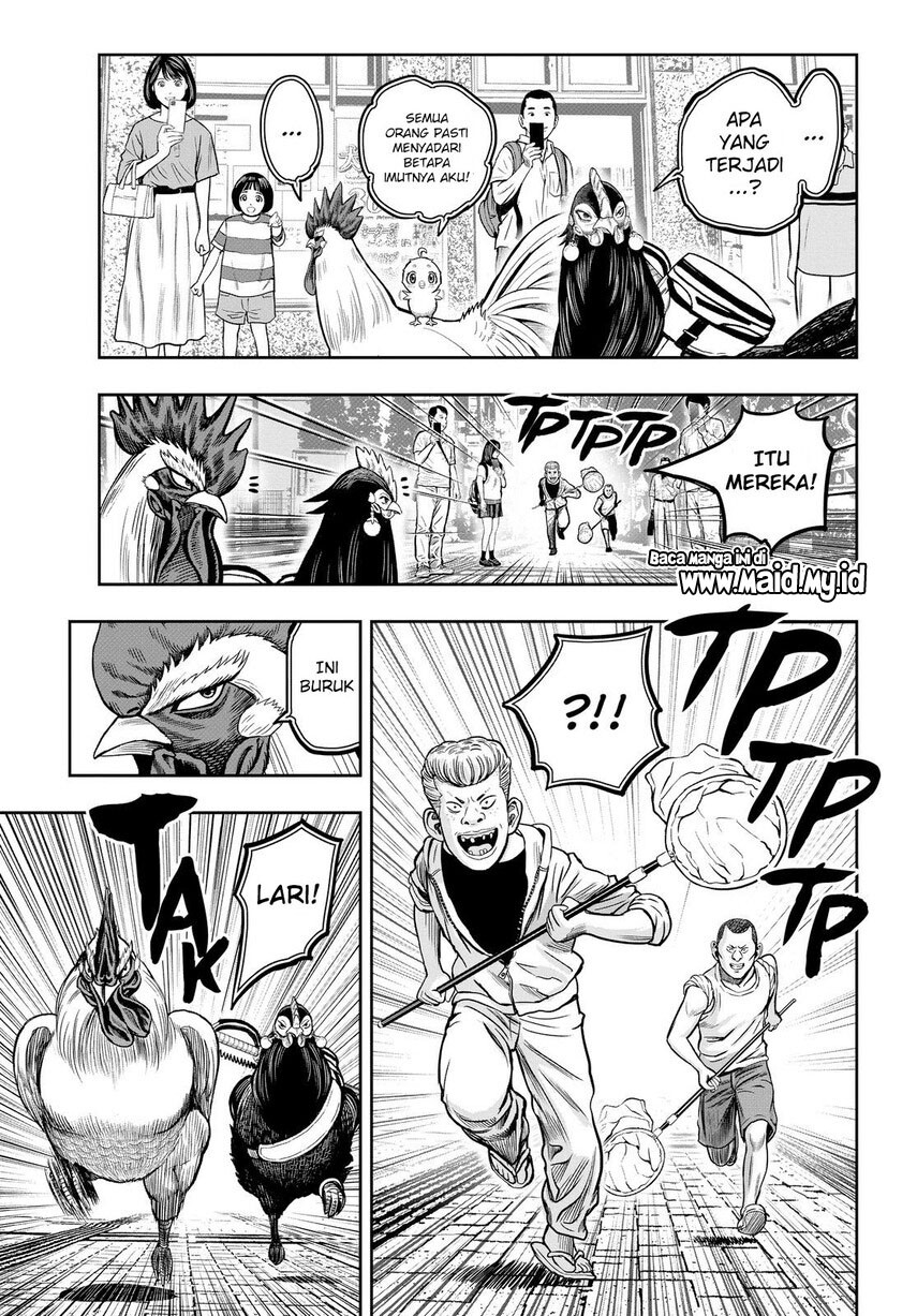 Rooster Fighter Chapter 11 Gambar 5