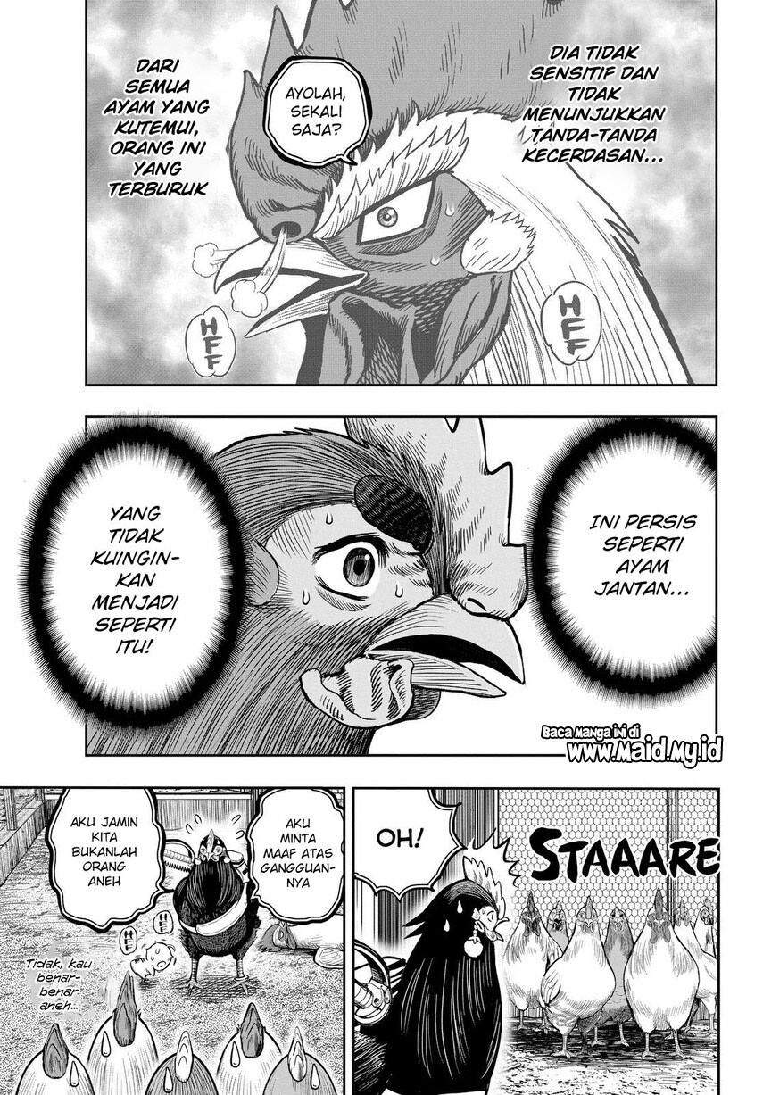 Rooster Fighter Chapter 11 Gambar 13