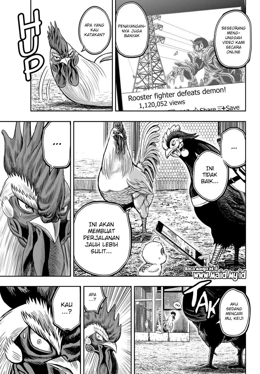Rooster Fighter Chapter 11 Gambar 15