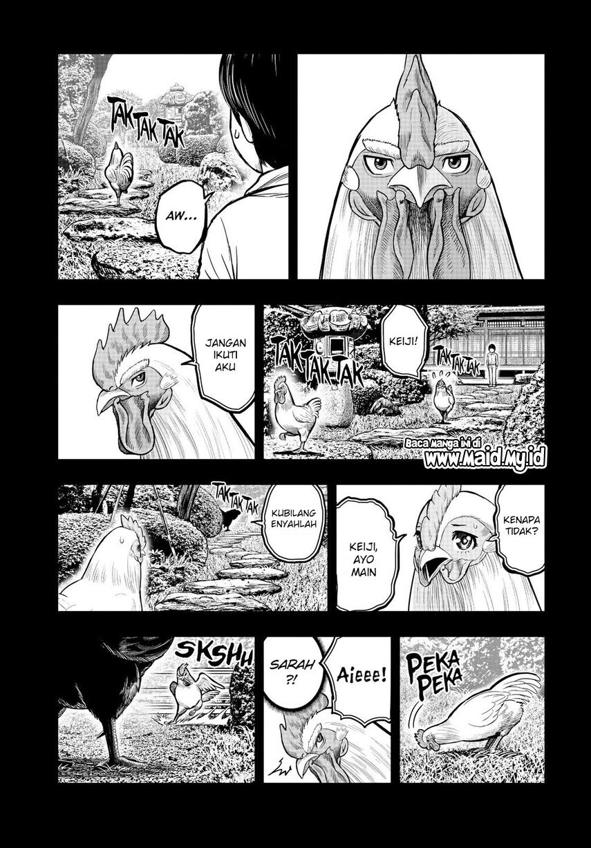 Rooster Fighter Chapter 11 Gambar 19