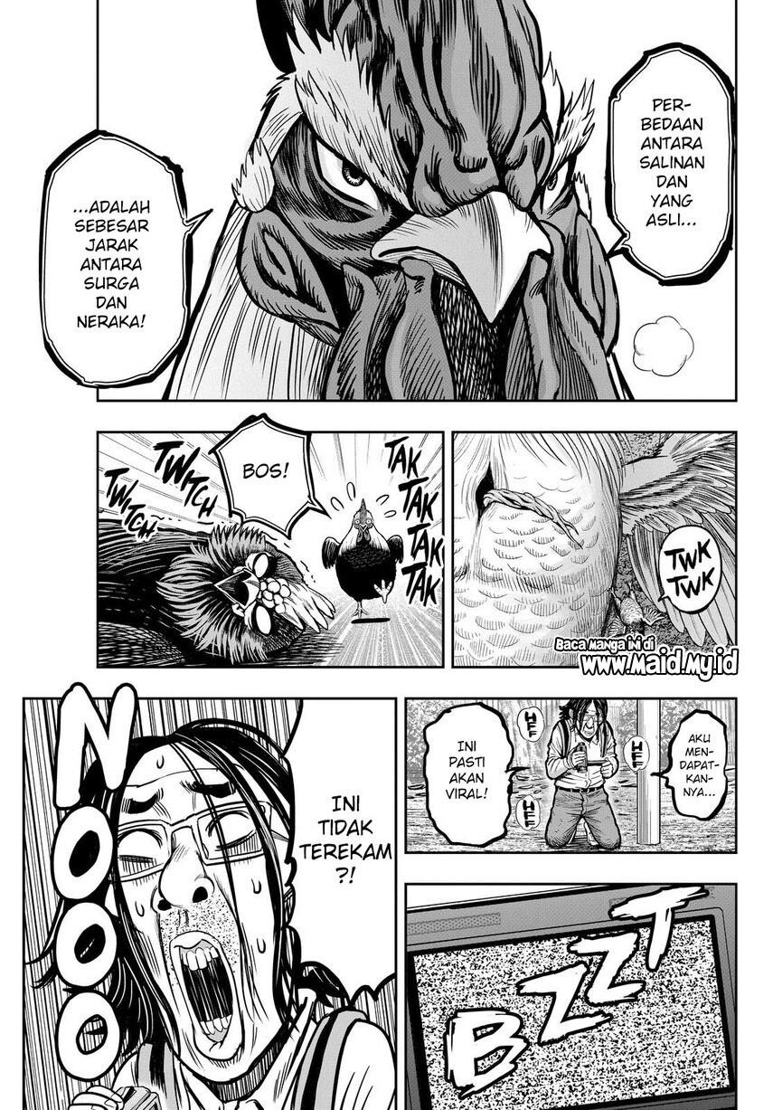 Rooster Fighter Chapter 11 Gambar 47