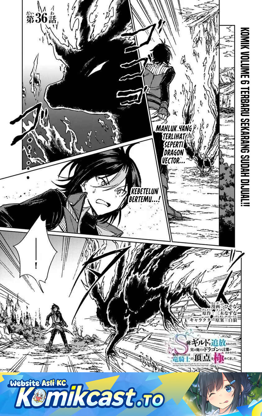 S-kyuu Guild wo Tsuihou saretakedo, Jitsu wa Ore dake Dragon no Kotoba ga Wakaru no de, Kidzuita Toki ni wa Ryuu Kishi no Chouten wo Kiwametemashita Chapter 36 Gambar 2