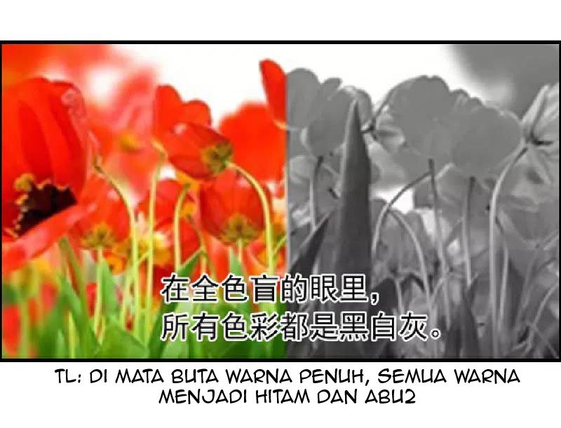 Science And Technology Fairy Chapter 17 Gambar 29