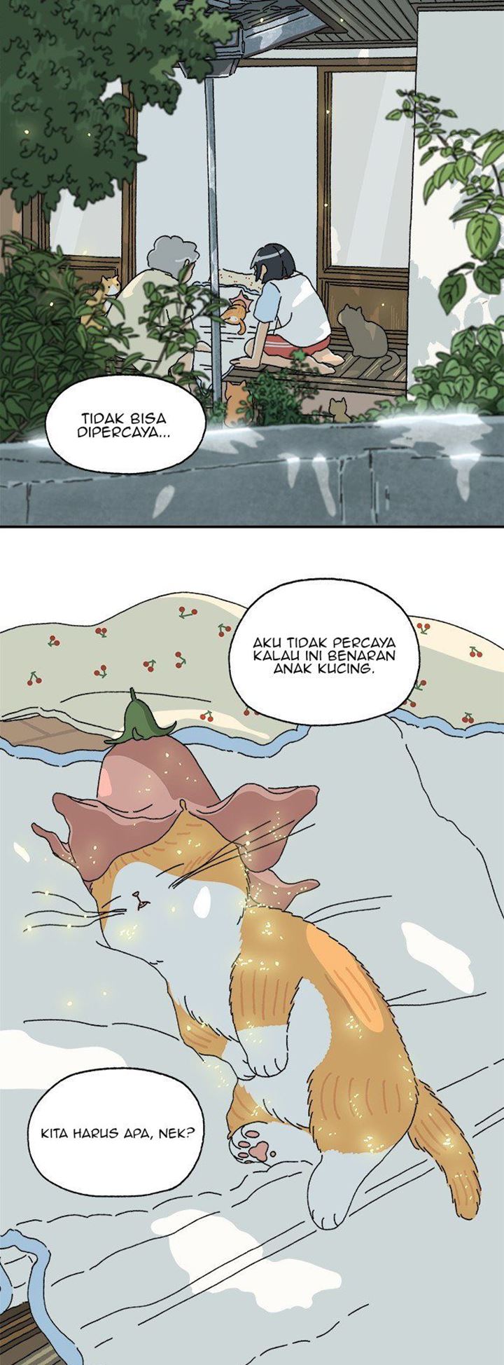 Tata the Cat Chapter 02 Gambar 14