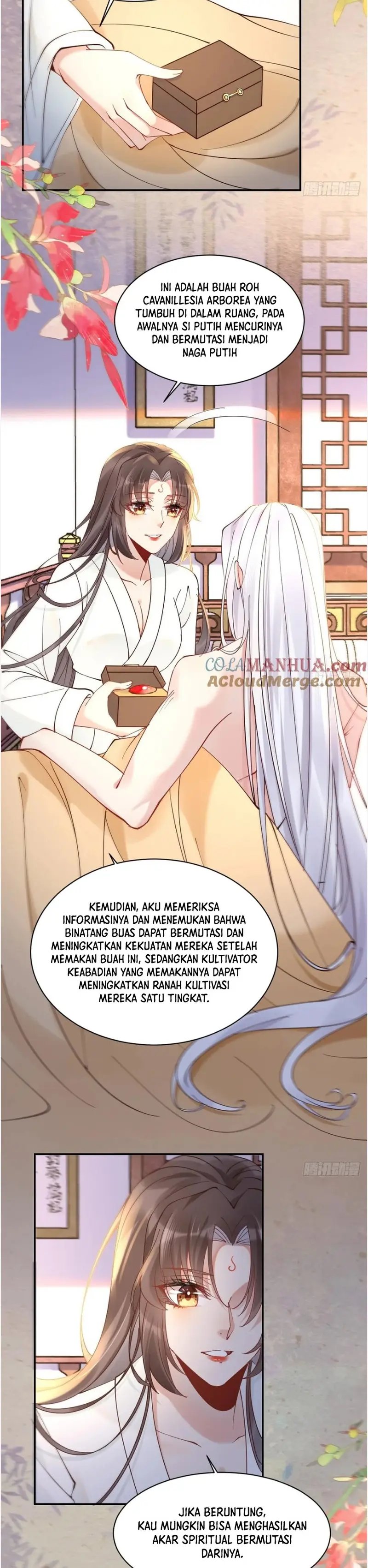 The Ghostly Doctor Chapter 589 Gambar 8