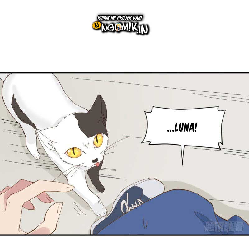 The Matchmaker Forbids Me From Dating Chapter 02 Gambar 74