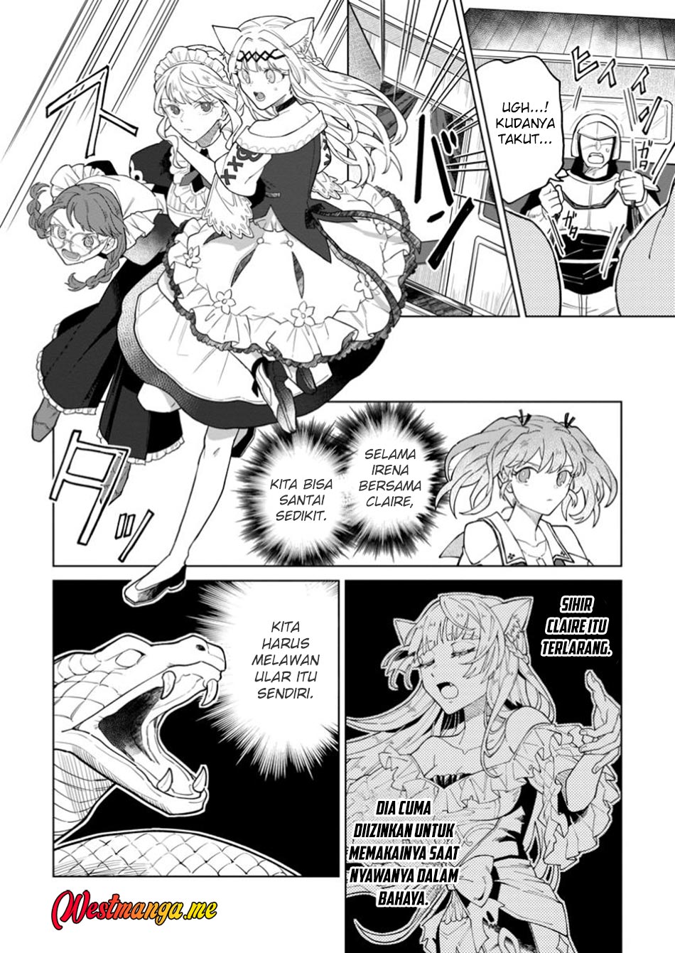The White Mage Who Was Banished From the Hero’s Party Is Picked up by an S Rank Adventurer ~ This White Mage Is Too Out of the Ordinary! Chapter 43 Gambar 3