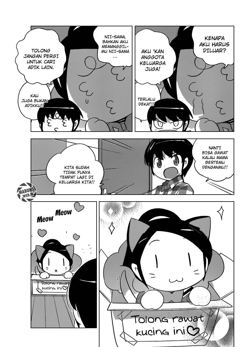 The World God Only Knows Chapter 202 Gambar 12