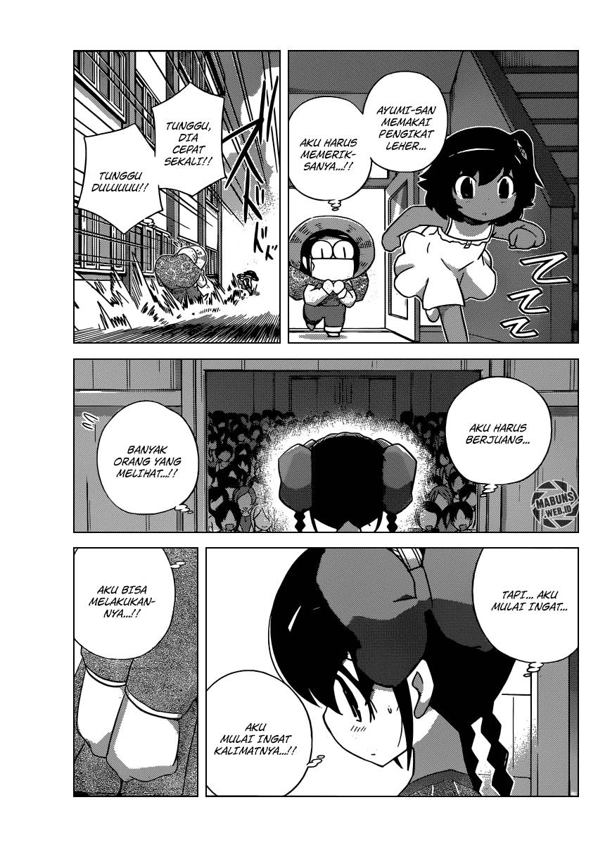 The World God Only Knows Chapter 244 Gambar 16