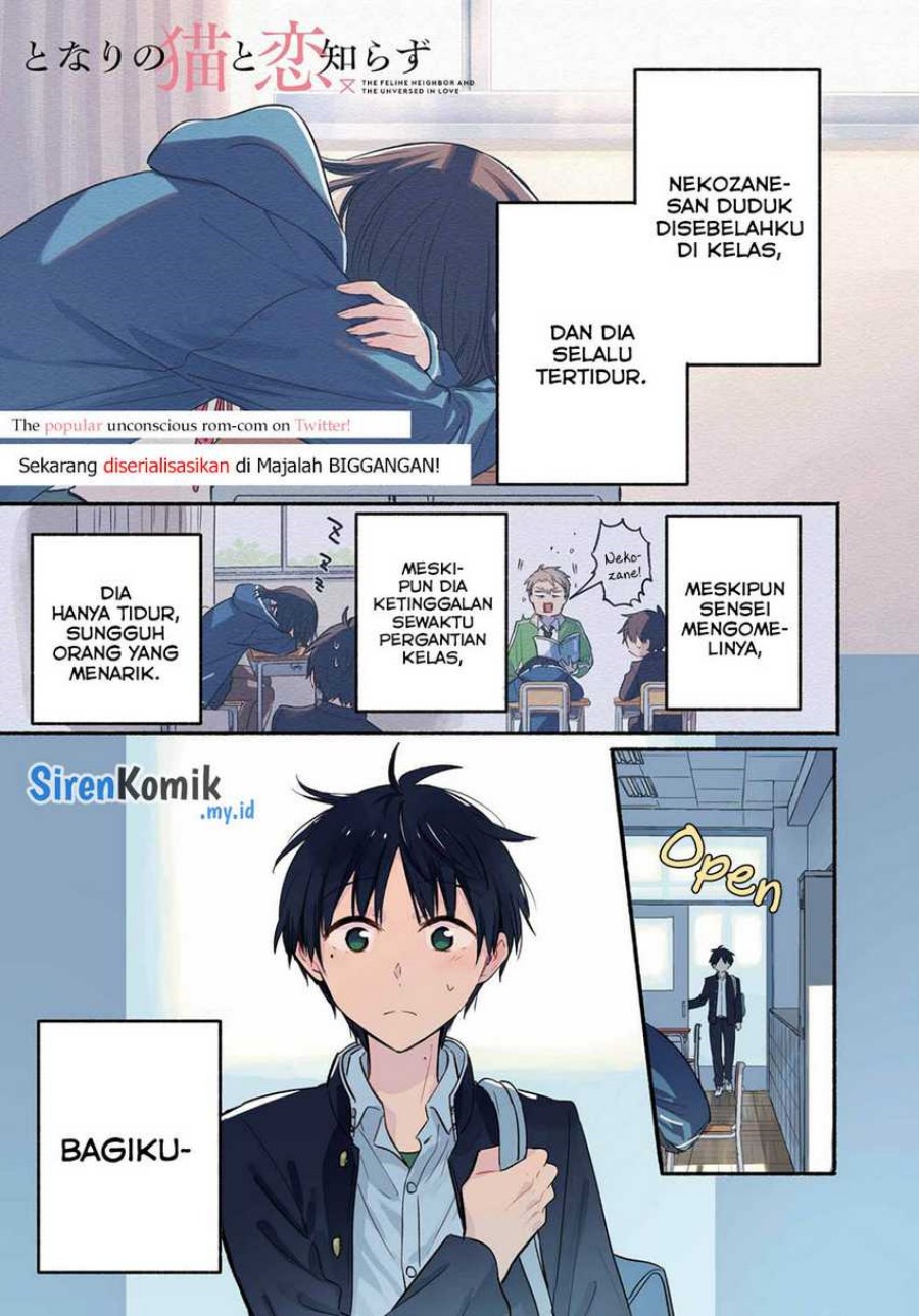 Tonari no Neko to Koi Shirazu Chapter 13 Gambar 2