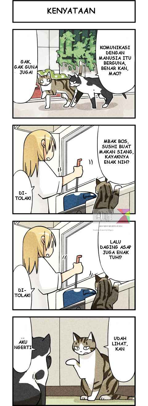We Are Cats Chapter 03 Gambar 3
